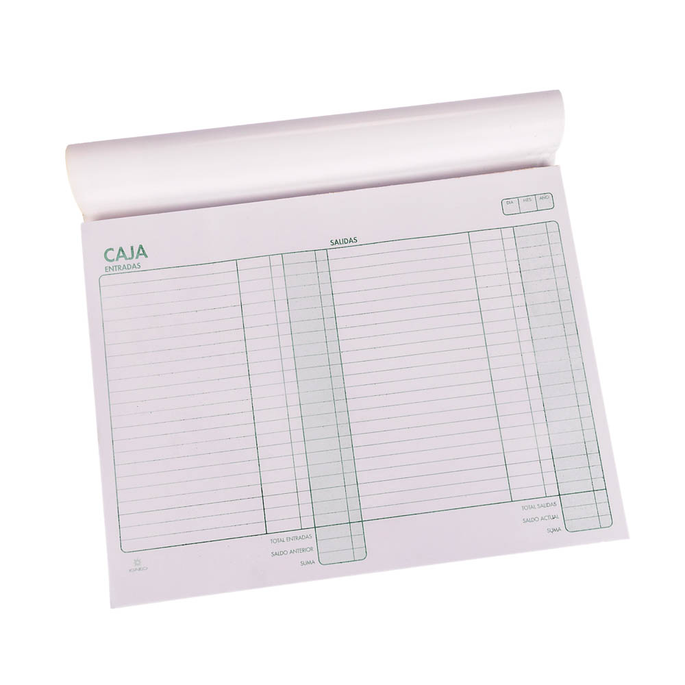 PLANILLA DE CAJA ENTRADA/SALIDA IGNEO (28*22CM) *100HJS