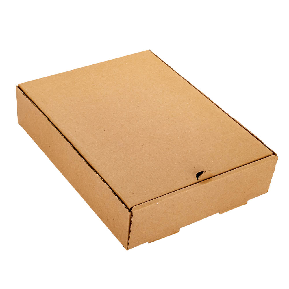 CAJA MICRO CARTON MARRON/MARRON (20*26.5*6CM) (1 DOC. EMPANADAS) *100UNID.