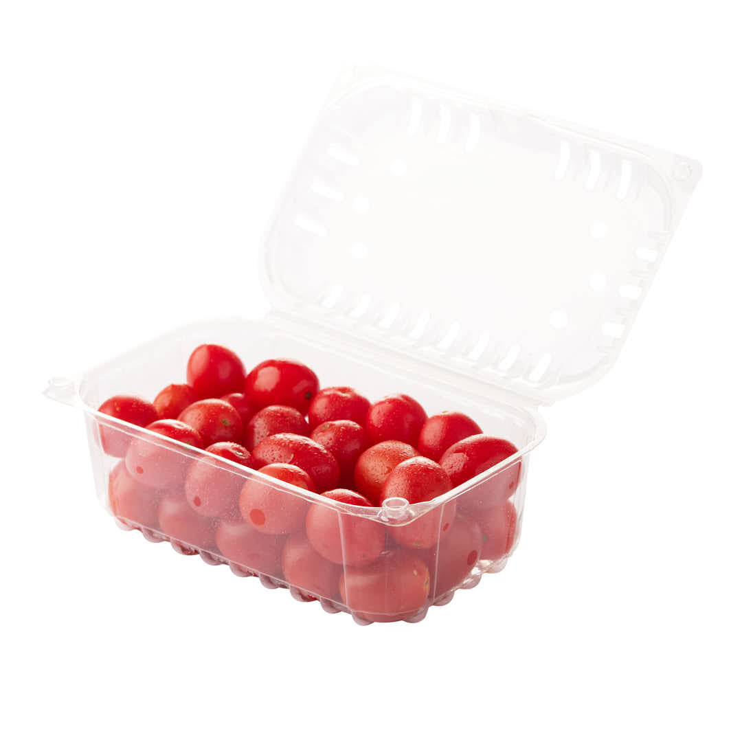 CUBETA FRUTIHORTICOLA CLAMSHELL 500GRS PET PERF. (M4380OLI) (18*11*8CM) *100 UNID.