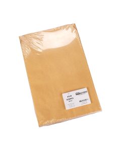 SOBRE MANILA.25*35,3CM (100 UNID) BOLSA MEDORO (2528) *PAQUETE