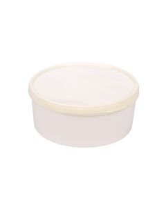 POTE HELADO PLASTICO .3LTS CON TAPA *UNID
