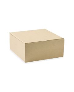 CAJA MICRO CARTON MARRON/MARRON (26.5*26.5*12CM) (ALPE) *100UNID.